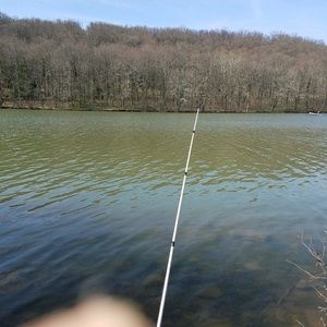 Meet your Posher, Laton